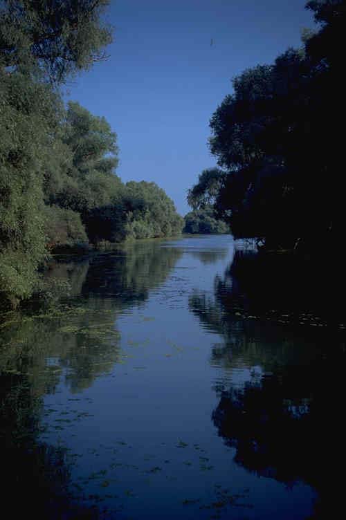 The Danube Delta