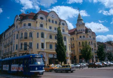 Vulturul Negru, Oradea