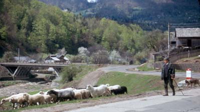 Transylvanian countryside